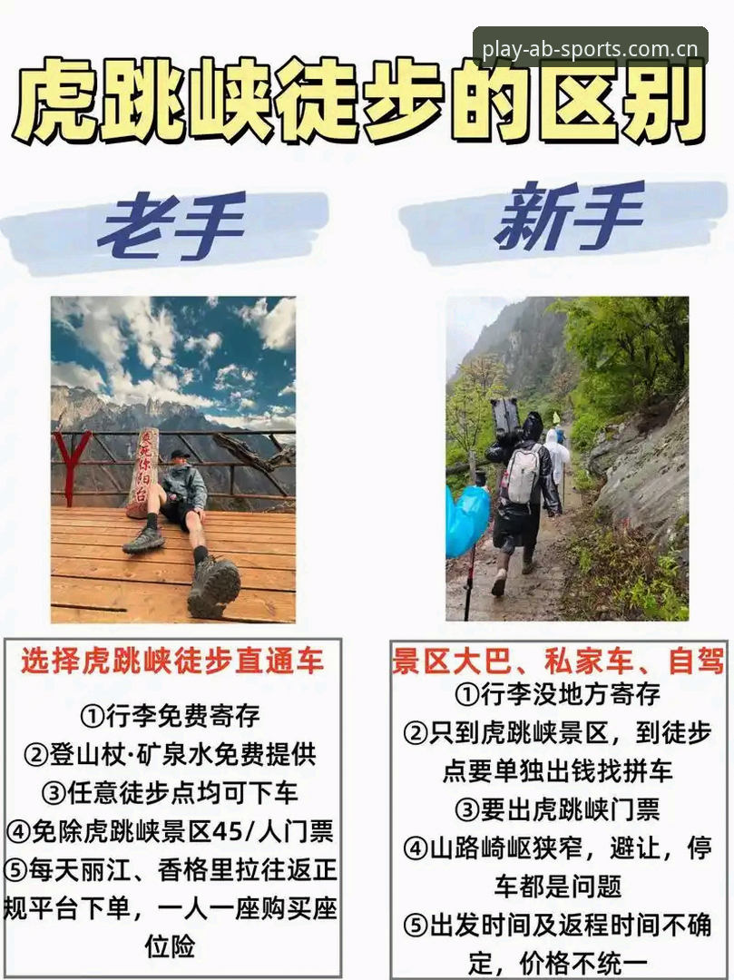 AB娱乐体育使用教程：新手vs老手选择，哪个更适合你？
